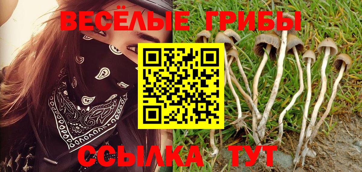 Псилоцибиновые грибы Cubensis  где можно купить   Владимир  Вход с VPN  Галлюциногенные грибы MAGIC MUSHROOMS 