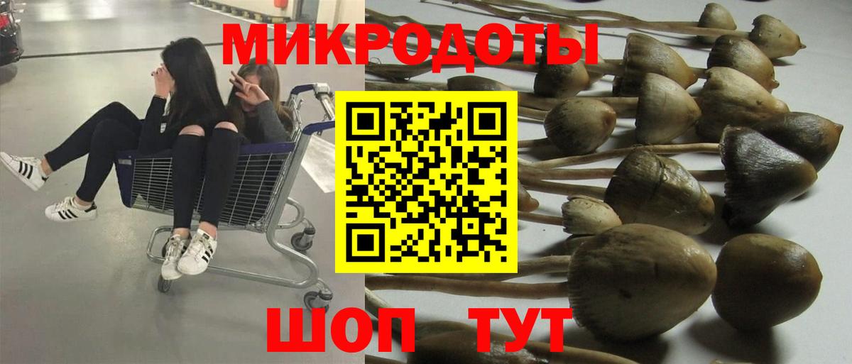 Псилоцибиновые грибы мицелий Владимир